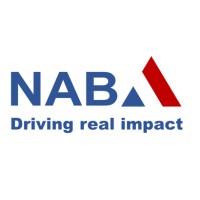 Netherlands Advisory Board on Impact Investing Logo