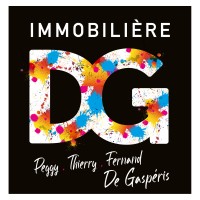 immobiliere DG Logo