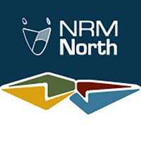 NRM North Logo