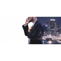 Segnala Consulting, Inc. D365FO, D365FO, Capital Consulting Logo