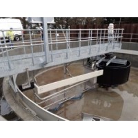 Colloide Site Services Logo