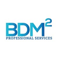 BDM Squared Logo
