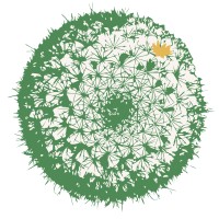 Instituto Cactus Logo