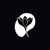 Flavuscom Logo