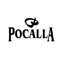 Pengelly Co., Ltd Logo