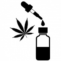 Cyber Wellness LLC Logo