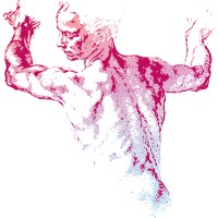 Fit & Fysio Logo