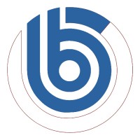 Bilge Online Logo
