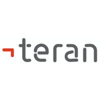 Teran Consultancy Services Logo