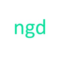 ngdenterprise inc. Logo
