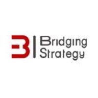 Bridging Strategy Logo