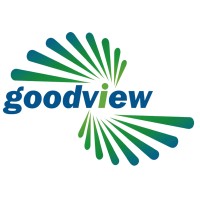 Goodview global limited (IOT) Logo