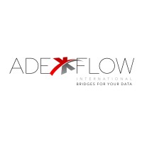 ADEXFLOW INTERNATIONAL Logo
