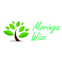 Moringa Wize BV Logo