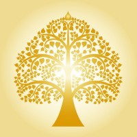 Bodhi Meditation Center Logo