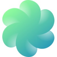 DD Solution Logo