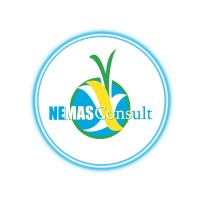 NEMAS Consult Limited Logo