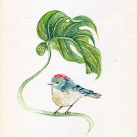 Agnes Leung Studio Logo