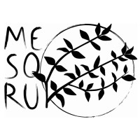 MeSoRu Logo