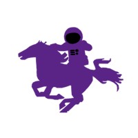 Western Engineering Satellite Team Logo