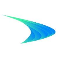 DS5 Venture Group Logo