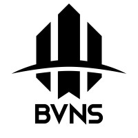 Braven Solutions Logo