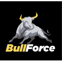 BULLFORCE Logo