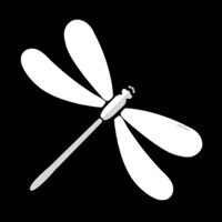 dragonfly Logo