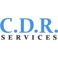 Computer Diagnosis and Repair Logo