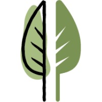 Shelley McIntyre Coaching, LLC Logo