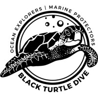 Black Turtle Dive Logo