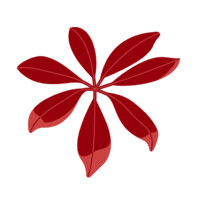 Clair Advisors Logo