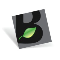 Brightleaf Consulting Group LLC Logo