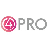P4L PRO Logo