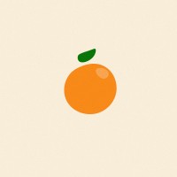 Candid Orange Logo