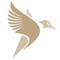 Pulse.app Logo