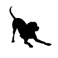 Blackdog Design Logo
