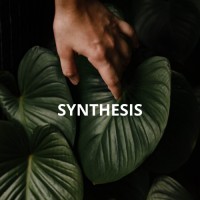 Centro Psicológico Synthesis Logo