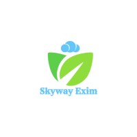Skyway Exim Logo