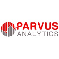 Parvus Analytics Private Limited Logo