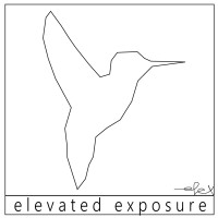 Elevated Exposure Logo