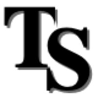 Transformative Strategies LLC Logo