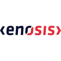 Enosis Solutions Logo