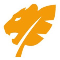 Jungle Cat Solutions Ltd Logo