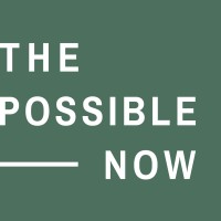 The Possible Now Logo
