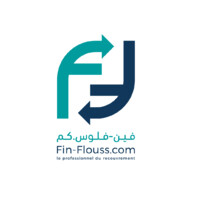 Fin-Flouss.Com Logo