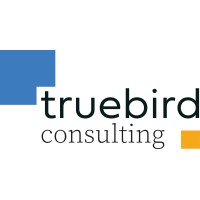 truebird consulting Logo