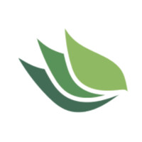 Vinea Capital Logo