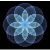 Plato Data Intelligence / W3 Networks Logo