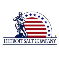 The Detroit Salt Company Logo
